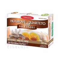 TEREZIA HUBOVÉ QUARTETO s REISHI 60