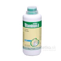 Vitaminum A Protect 100ml