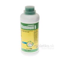 Vitaminum B Complex 100ml