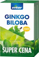 VITAR GINKGO BILOBA FORTE DUOPACK cps 2x60 (120 ks)