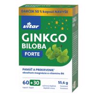 VITAR Ginko biloba forte 60 + 30 kapsúl navyše