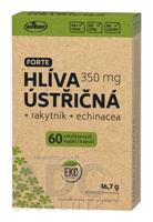 VITAR HLIVA USTRICOVÁ + rakytník + echinacea FORTE cps 1x60 ks