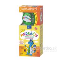 VITAR MUDRÁČIK multivitamín + BETAGLUKÁNY s vitamínom D3 a rakytníkom, príchuť lesná zmes 60ks + darček svietiace jojo