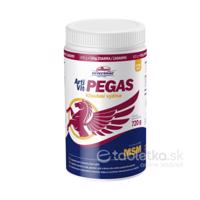 VITAR Veterinae Artivit Pegas MSM 720g