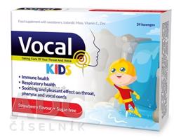 Vocal KIDS pastilky s jahodovou príchuťou, bez cukru 1x24 ks