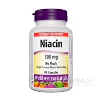 Webber Naturals Niacin 500 mg 90 cps (nealergický)