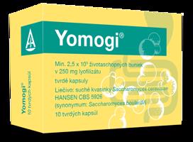 Yomogi cps.dur.10 x 250mg